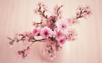 Floral Desktop Wallpaper