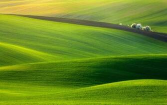 Green Nature Landscape