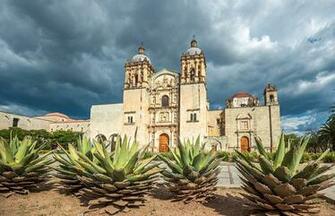 Photos Church Mexico Santo Domingo Oaxaca Temples Cactuses Cities