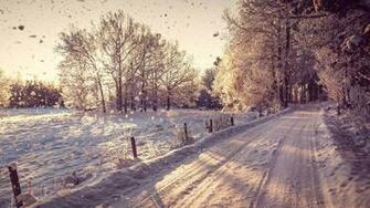 Country Road In The Winter Nature Wallpaper Best HD