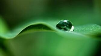 Water Drops HD Wallpaper