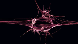 Abstract Fractals Wallpaper Hearts