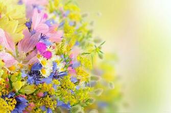 Flower Wallpaper High Resolution Net