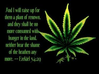 Cannabis Sativa Wallpaper