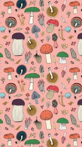 Pink Mushroom Surface Design Witchy Wallpaper Phone