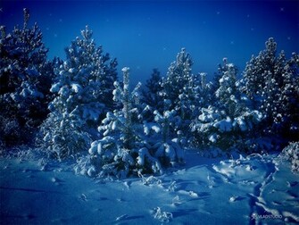 Siberian Winter Wallpaper Vladstudio Urban Art