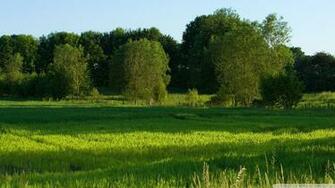 Summer Landscape Wallpaper