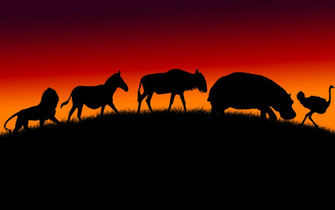 African American Wallpaper Image Pictures Black