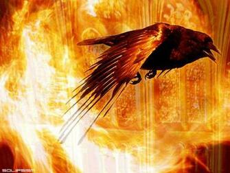 Fantasy Background Dragons Wallpaper Wizards Desktops