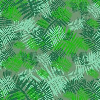 Green Fern Wallpaper