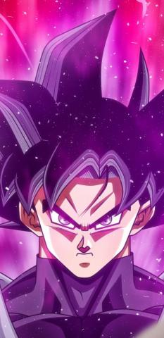 Goku Black Dragon Ball Super Attitude