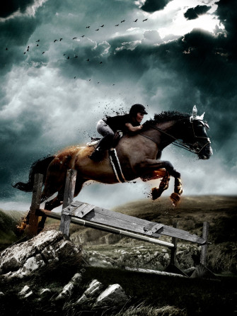 Equestrian Wallpaper