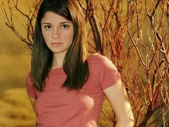 Shiri Appleby Wp Wallpaper