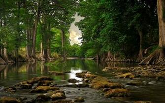 Water Trees Forest Jungle Reflection Rocks Sky Clouds Leaves Wallpaper