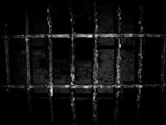 Learned Behavior With Parents In Prison Do Children