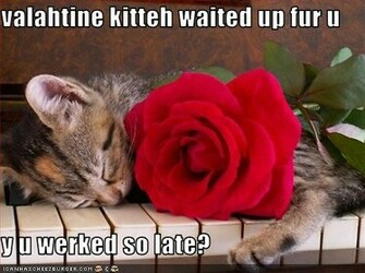 Funny Valentine Wallpaper Pictures