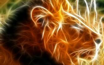 3d Cool Lion HD Wallpaper Computer Best Website