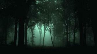 Dark Forest Wallpaper High Resolution Background HD