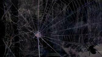 Scary Spider HD Desktop Wallpaper We Select The Best