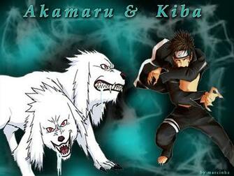 Kiba Inuzuka Image HD Wallpaper And Background