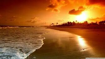 Beach Sunrise Dive Tenerife