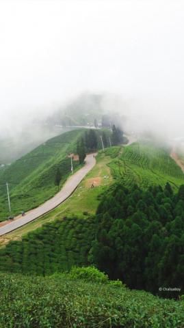 Illam Nepal Nature Landscape 4k Ultra HD Mobile Wallpaper