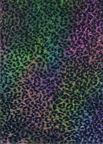 Rainbow Leopard Background By Eveyd