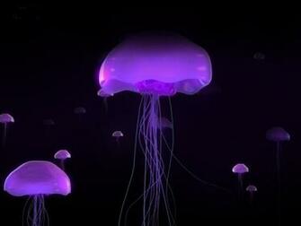 Best Black Computer Wallpaper Background HDblackwallpaper
