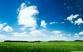 Green Field 4k HD Desktop Wallpaper For Ultra Tv Dual