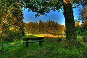 Image Germany Hessen Schotten HDri Nature Scenery Trunk Tree Bench
