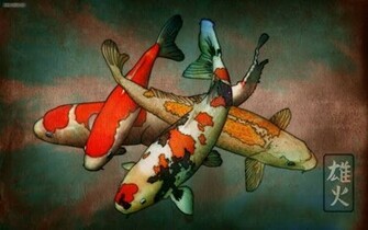 Koi Wallpaper Lilz Eu Tattoo De