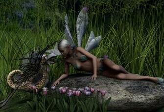 Fairies And Dragons Wallpaper Of Fairy