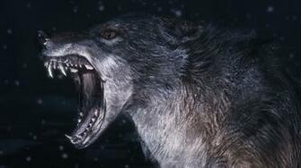 Wolf Computer Wallpaper Desktop Background Id