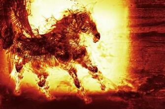 Horse 3d Amazing Full Screen HD Wallpaper High