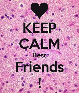Best Friends Forever