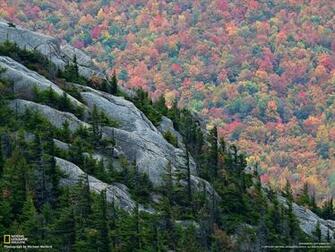 Adirondack Wallpaper