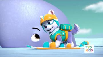 Paw Patrol 320b Scene Everest Baby Whale Photo