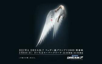 Fight Mma Ufc Pride Fighting Championship Dream Fc HD Wallpaper Of