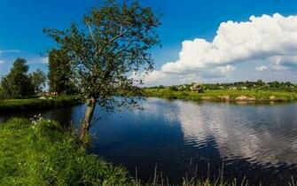 Wallpaper Northern Ireland Portadown Uk Lake Tree Grass