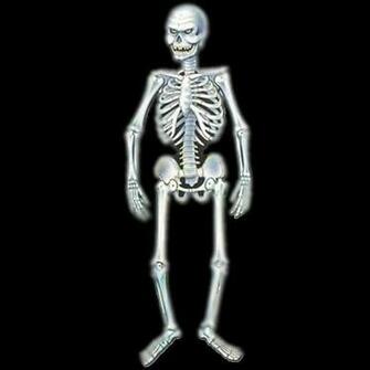 Halloween Skeleton Pictures Wallpaper High Definition