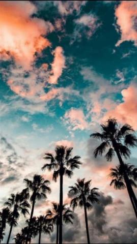 Summer iPhone Wallpaper On
