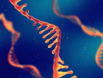 Extending Rnaspades Functionality For Hybrid Transcriptome Assembly