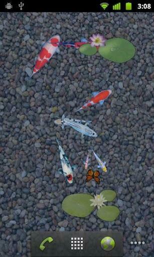 Anipet Koi Live Wallpaper For Android Por Ani