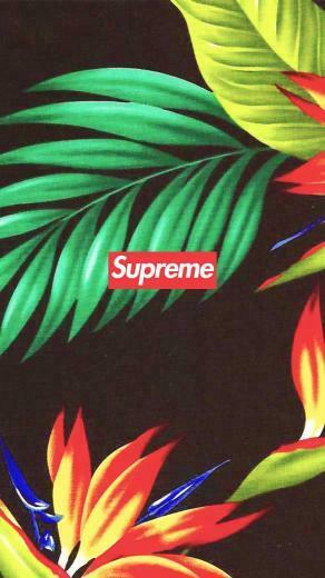 Hypebeast Wallpaper Top Background