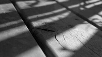 Black And White Wood Pine Wallpaper