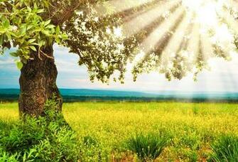Beautiful Summer Day Wallpaper Gallery