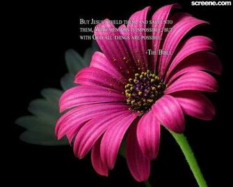 Flower Background Wallpaper Christian And Background