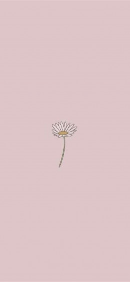Tiktok Aesthetic Wallpaper