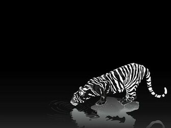 HD Black And White Wallpaper High Quality Defiantion