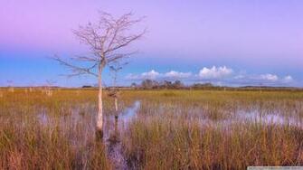 Pink Sunset Wetlands Everglades National Park 4k HD Desktop